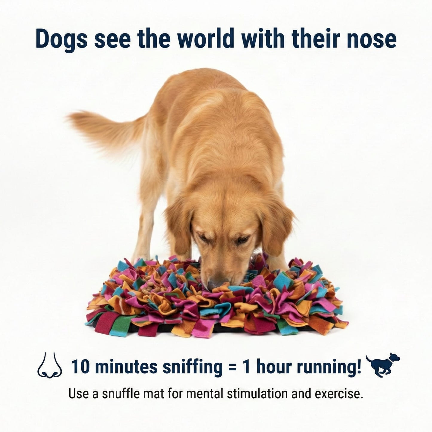 Charliekart Royal Snuffle Rose™